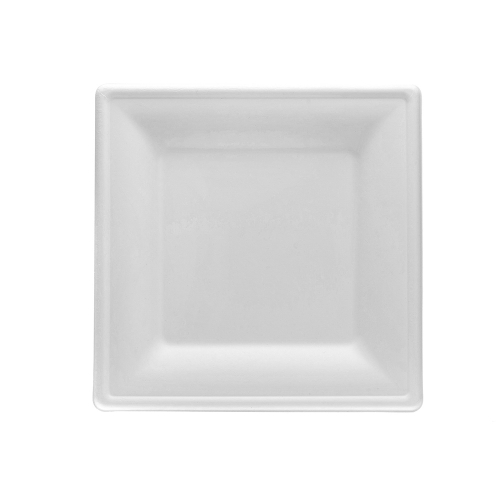 10 inch square plate,Square Plate